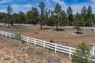 816 Fern Wy, Show Low, AZ 85901 - Photo 91