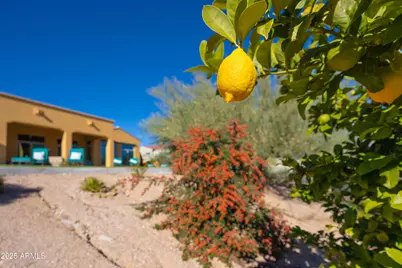 37003 N 109th Way #24, Scottsdale, AZ 85262 - Photo 33