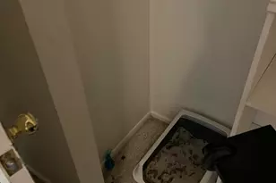 17 E Ruth Ave, Phoenix, AZ 85020 - Photo 9