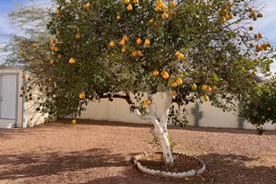 633 S 87th Pl, Mesa, AZ 85208 - Photo 35