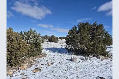 Tbd Acr 8620 Lot 81 -- #81, Concho, AZ 85924 - Photo 9