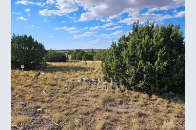 Tbd Acr 8620 Lot 81 -- #81, Concho, AZ 85924 - Photo 7