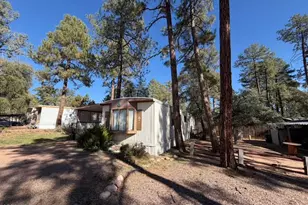 705 E Miller Rd, Payson, AZ 85541 - Photo 3