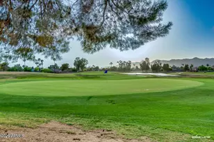 12243 S Chippewa Dr, Phoenix, AZ 85044 - Photo 45