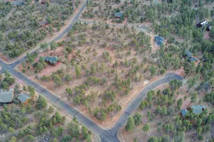 5527 Datil Cir, Happy Jack, AZ 86024 - Photo 1