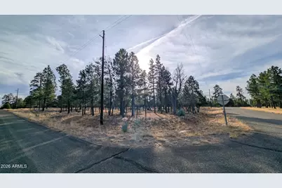 5527 Datil Circle #325, Happy Jack, AZ 86024 - Photo 3