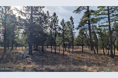 5527 Datil Circle #325, Happy Jack, AZ 86024 - Photo 15