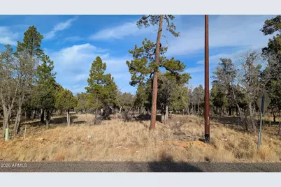 5527 Datil Circle #325, Happy Jack, AZ 86024 - Photo 21