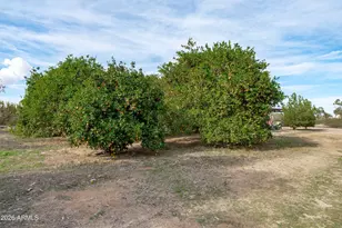 33228 W Sunland Ave, Tonopah, AZ 85354 - Photo 41