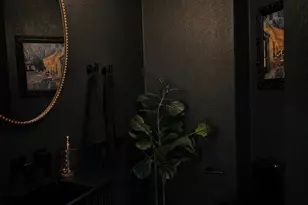 16805 S 29th Pl, Phoenix, AZ 85048 - Photo 51