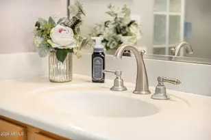 344 E Bridle Ct, Gilbert, AZ 85295 - Photo 53