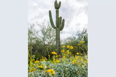 6382 E Calle De Mandel Drive #'-', Scottsdale, AZ 85266 - Photo 9