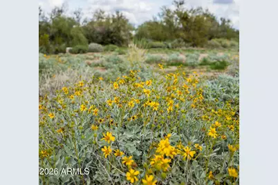 6382 E Calle De Mandel Drive #'-', Scottsdale, AZ 85266 - Photo 5