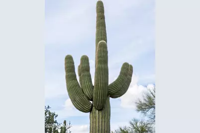 6382 E Calle De Mandel Drive #'-', Scottsdale, AZ 85266 - Photo 7