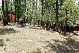 1018 Reata Pass, Happy Jack, AZ 86024 - Photo 25