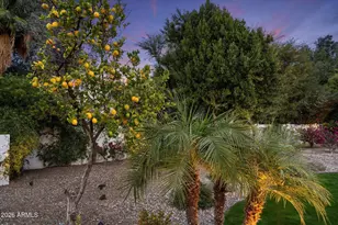 10380 E Cholla St, Scottsdale, AZ 85260 - Photo 39