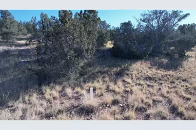 30863 W Basconia Road #4315, Seligman, AZ 86337 - Photo 5