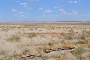 5661 Valley Rd, Snowflake, AZ 85937 - Photo 43