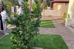 317 N 20th Ave, Phoenix, AZ 85009 - Photo 3