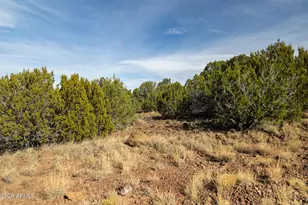 9 Acr 8111 --, Concho, AZ 85924 - Photo 1