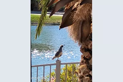 42585 W Heavenly Place, Maricopa, AZ 85138 - Photo 19