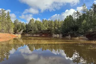 5094 N James Circle, Pine, AZ 85544 - Photo 35