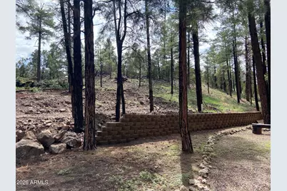 2820 Pine Hill Drive #20, Overgaard, AZ 85933 - Photo 9