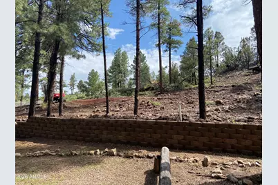 2820 Pine Hill Drive #20, Overgaard, AZ 85933 - Photo 1