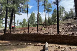 2820 Pine Hill Dr, Overgaard, AZ 85933 - Photo 1