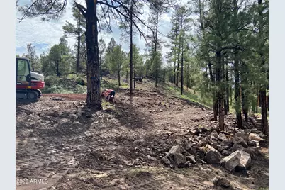 2820 Pine Hill Drive #20, Overgaard, AZ 85933 - Photo 11