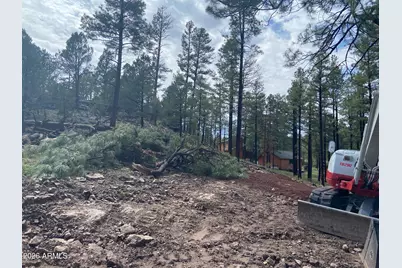 2820 Pine Hill Drive #20, Overgaard, AZ 85933 - Photo 7