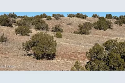 Lot 197 Unit 6 River Springs Ranch -- #197, Saint Johns, AZ 85936 - Photo 7