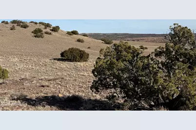 Lot 197 Unit 6 River Springs Ranch -- #197, Saint Johns, AZ 85936 - Photo 3