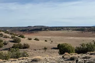 Lot 197 Unit 6 River Springs Ranch --, Saint Johns, AZ 85936 - Photo 1