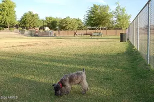 2535 S Wattlewood, Mesa, AZ 85209 - Photo 41