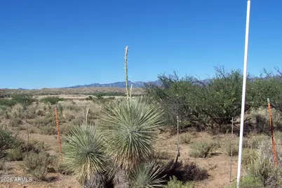 81.24Ac S Warpaint Path #13&14, Willcox, AZ 85643 - Photo 7