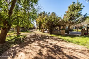 25509 S Lime Dr, Queen Creek, AZ 85142 - Photo 77