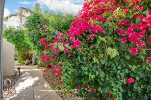 240 E Gail Ct, Gilbert, AZ 85296 - Photo 49