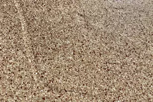 2061 S Walla Walla Circle, Apache Junction, AZ 85119 - Photo 43