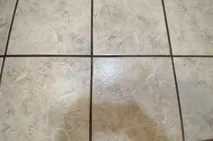 2061 S Walla Walla Circle, Apache Junction, AZ 85119 - Photo 33