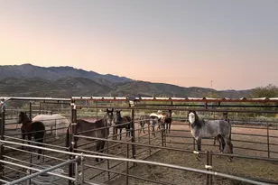 35190 S April Dr, Black Canyon City, AZ 85324 - Photo 45