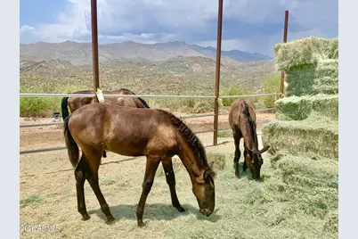 35190 S April Drive, Black Canyon City, AZ 85324 - Photo 43