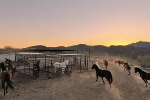 35190 S April Dr, Black Canyon City, AZ 85324 - Photo 47