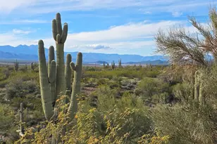 6368 N Az Hwy 288 --, Globe, AZ 85501 - Photo 11