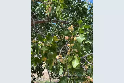 1144 W Edwards Lane, Benson, AZ 85602 - Photo 29