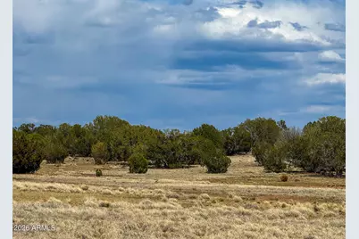 0 W Mile High Rd. Lot D 10 Acres -- #84, Ash Fork, AZ 86320 - Photo 5