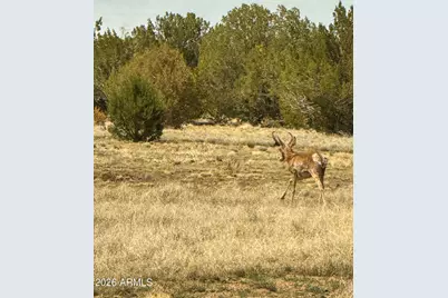 0 W Mile High Rd. Lot C 10 Acres -- #84, Ash Fork, AZ 86320 - Photo 25