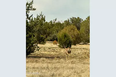 0 W Mile High Rd. Lot C 10 Acres -- #84, Ash Fork, AZ 86320 - Photo 27