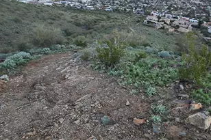 2941 E Nisbet Ct, Phoenix, AZ 85032 - Photo 43