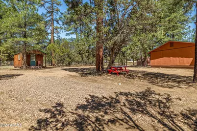 2029 Moccasin Circle, Overgaard, AZ 85933 - Photo 19